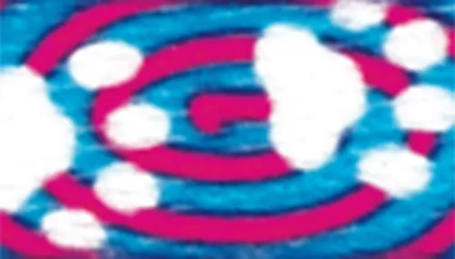 Li'l Pals® Patterned Dog Leash with E-Z Snap® Product image